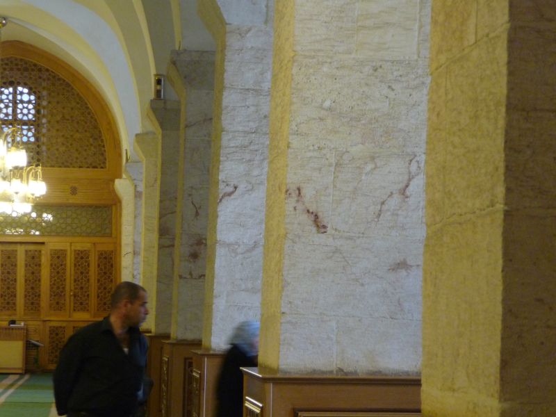 P1030116.JPG